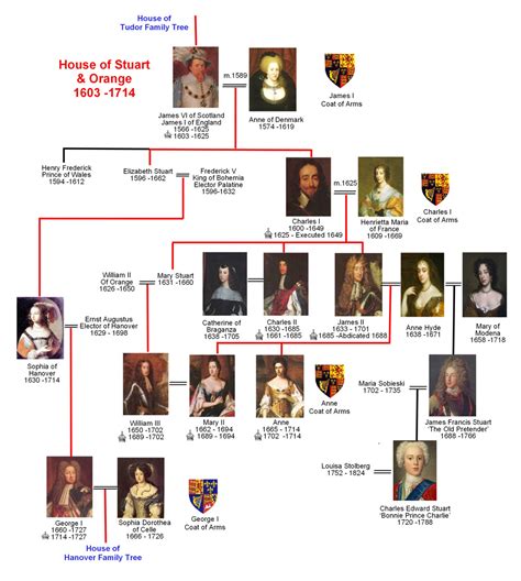 stewart e tudor albero benealogico|the tudors and the stewarts.